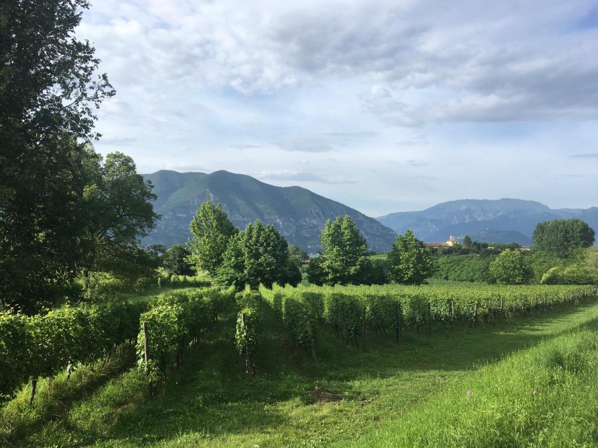 Holiday Home Punta D'Oro With Garden, Parking Place And Lake Access At 300 M Iseo Exterior photo
