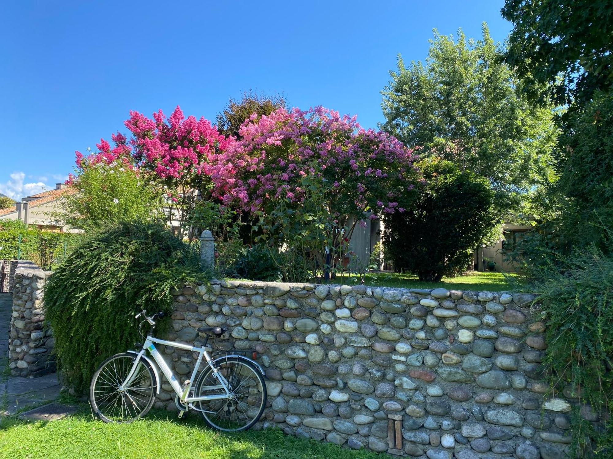 Holiday Home Punta D'Oro With Garden, Parking Place And Lake Access At 300 M Iseo Exterior photo